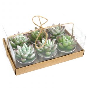 Conjunto de 6 velas Cacto Agave caixa de presente